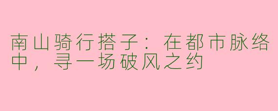 南山骑行搭子：在都市脉络中，寻一场破风之约