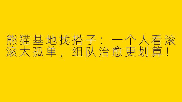熊猫基地找搭子：一个人看滚滚太孤单，组队治愈更划算！