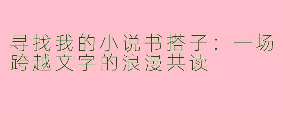 寻找我的小说书搭子：一场跨越文字的浪漫共读