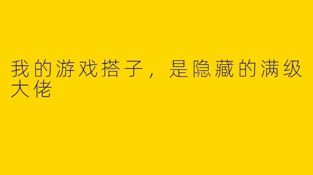 我的游戏搭子，是隐藏的满级大佬