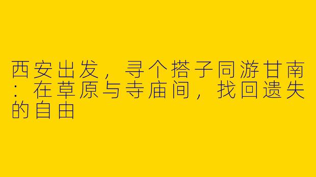 西安出发，寻个搭子同游甘南：在草原与寺庙间，找回遗失的自由