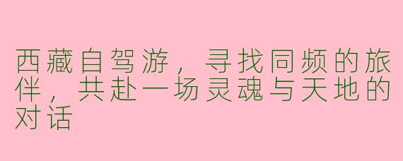 西藏自驾游，寻找同频的旅伴，共赴一场灵魂与天地的对话