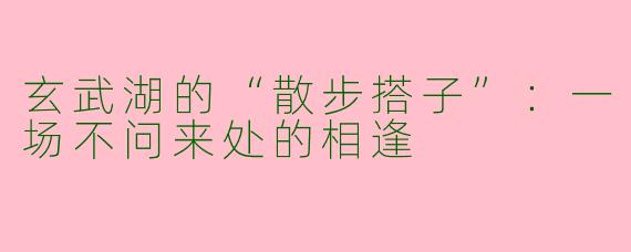 玄武湖的“散步搭子”：一场不问来处的相逢