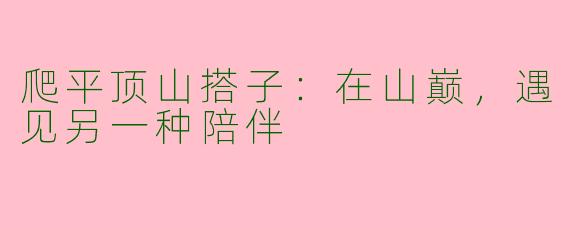 爬平顶山搭子：在山巅，遇见另一种陪伴