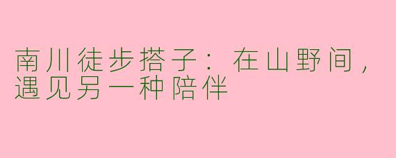 南川徒步搭子：在山野间，遇见另一种陪伴