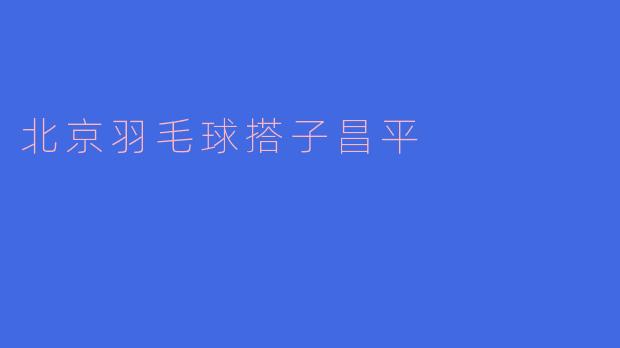 北京羽毛球搭子昌平