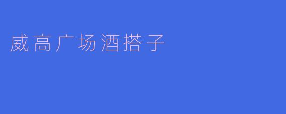 威高广场酒搭子