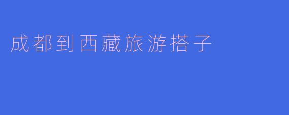成都到西藏旅游搭子