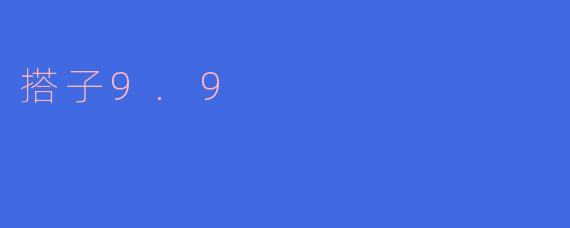 搭子9.9