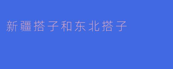 新疆搭子和东北搭子