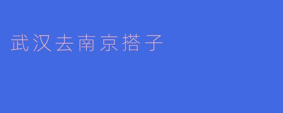 武汉去南京搭子