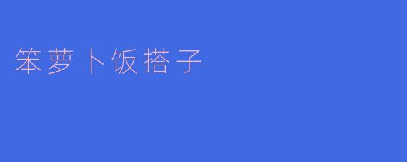 笨萝卜饭搭子