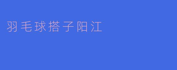 羽毛球搭子阳江