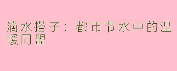 滴水搭子:都市节水中的温暖同盟