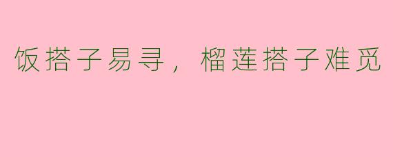 饭搭子易寻,榴莲搭子难觅