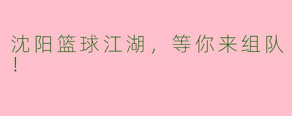 沈阳篮球江湖,等你来组队!