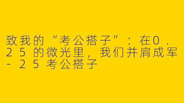 致我的“考公搭子”：在0.25的微光里，我们并肩成军-25考公搭子