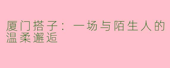 厦门搭子：一场与陌生人的温柔邂逅