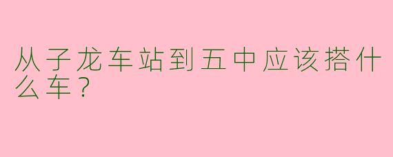 从子龙车站到五中应该搭什么车？