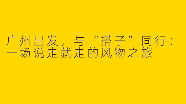 广州出发,与“搭子”同行:一场说走就走的风物之旅