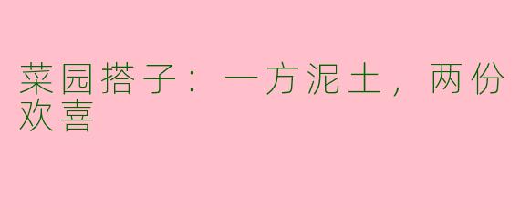 菜园搭子:一方泥土,两份欢喜