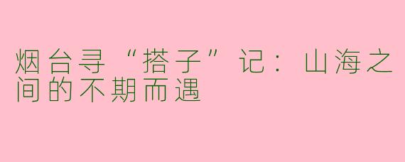 烟台寻“搭子”记：山海之间的不期而遇