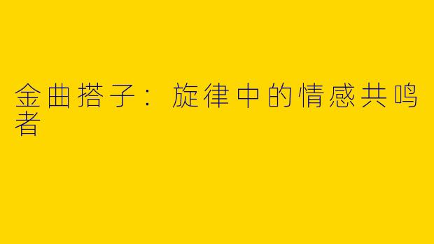 金曲搭子：旋律中的情感共鸣者