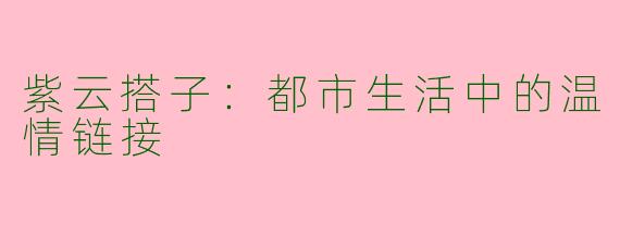 紫云搭子：都市生活中的温情链接