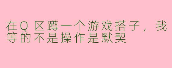 在Q区蹲一个游戏搭子,我等的不是操作是默契