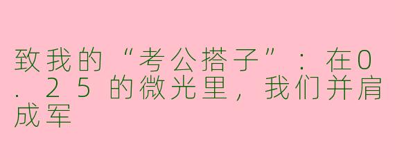致我的“考公搭子”：在0.25的微光里，我们并肩成军