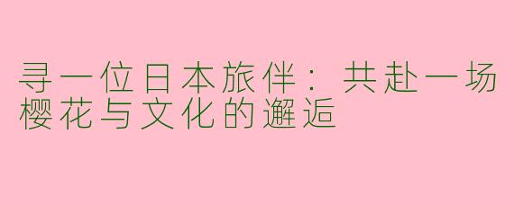 寻一位日本旅伴：共赴一场樱花与文化的邂逅