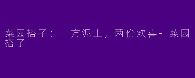 菜园搭子:一方泥土,两份欢喜-菜园搭子