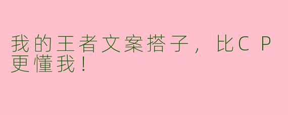 我的王者文案搭子，比CP更懂我！