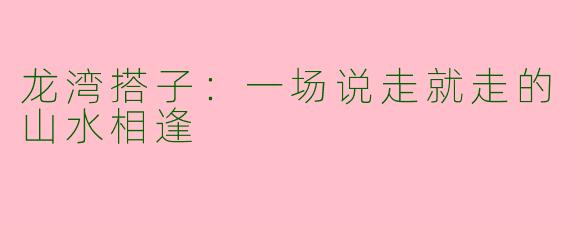 龙湾搭子：一场说走就走的山水相逢