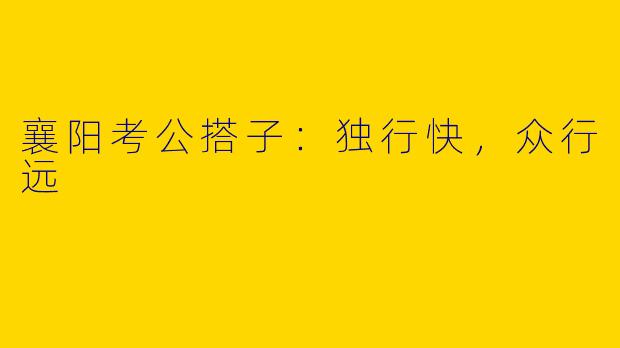 襄阳考公搭子:独行快,众行远