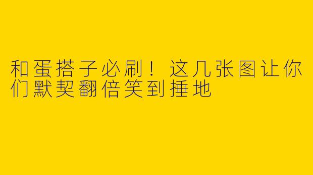 和蛋搭子必刷！这几张图让你们默契翻倍笑到捶地