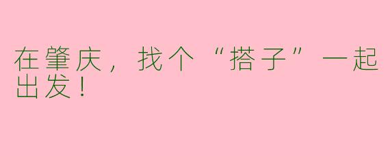 在肇庆,找个“搭子”一起出发!