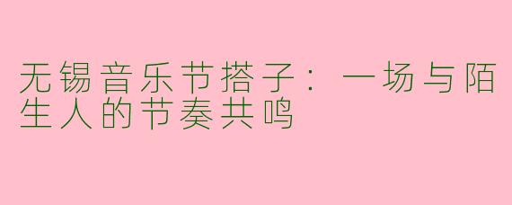 无锡音乐节搭子：一场与陌生人的节奏共鸣
