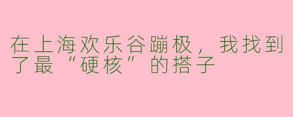 在上海欢乐谷蹦极，我找到了最“硬核”的搭子