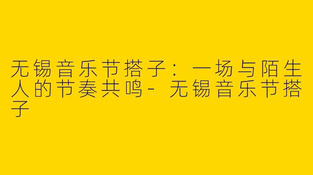 无锡音乐节搭子：一场与陌生人的节奏共鸣-无锡音乐节搭子