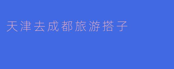天津去成都旅游搭子
