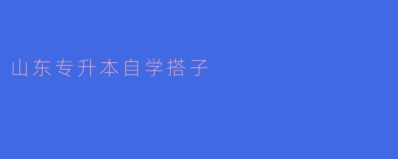 山东专升本自学搭子