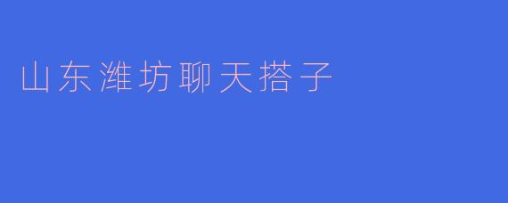 山东潍坊聊天搭子