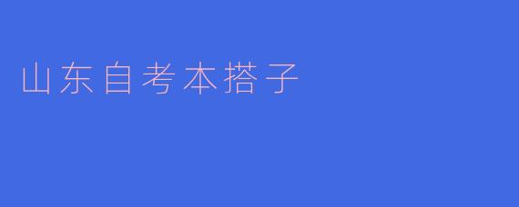 山东自考本搭子：一场奔赴未来的同行之旅