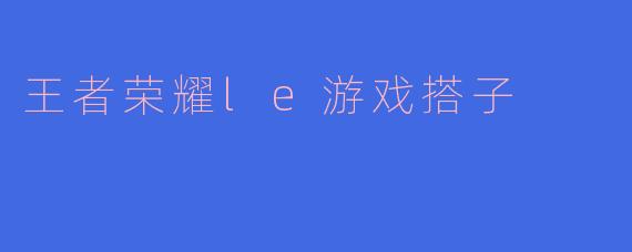 王者荣耀le游戏搭子