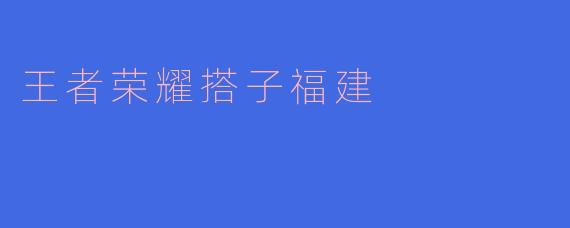 王者荣耀搭子福建