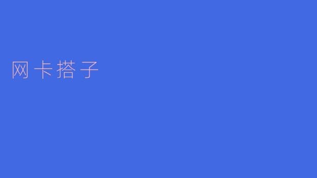 网卡搭子