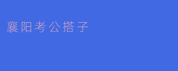襄阳考公搭子