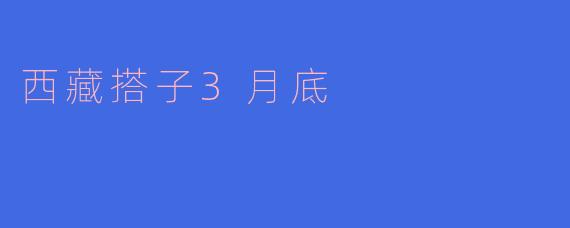 西藏搭子3月底