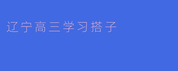 辽宁高三学习搭子